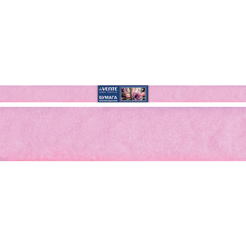 8040804
