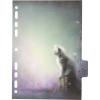 3051535_4