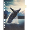 3051533_2