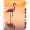 3051533_1