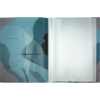 3101217_2