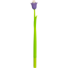 5073448_5