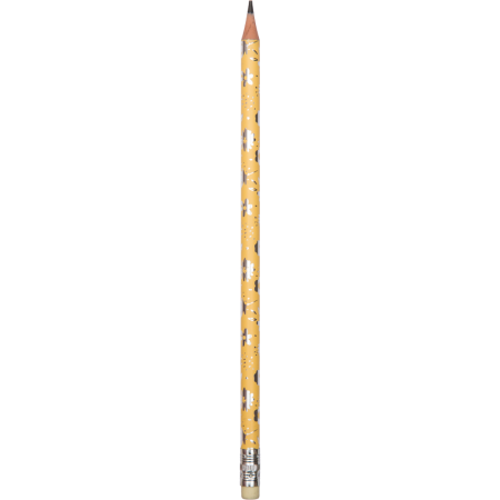 5031427_5