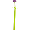 5073450_5