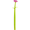 5073450_4