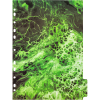 3051302_5