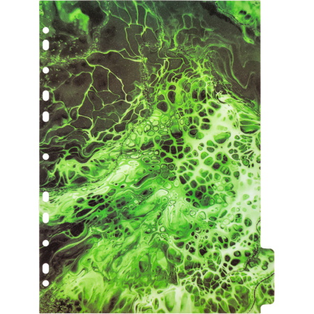 3051302_5