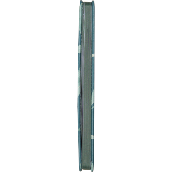 2239650_2