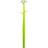 5073450_2